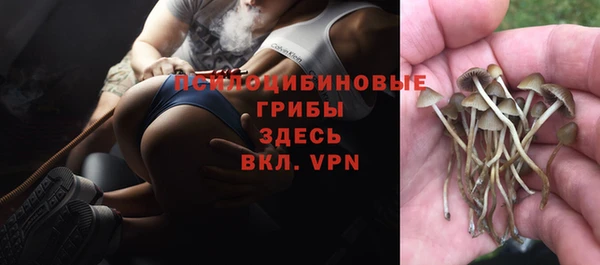 метамфетамин Аркадак