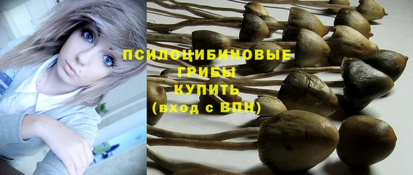 первитин Арсеньев