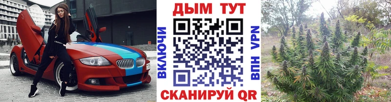 Каннабис Ganja  Давлеканово 